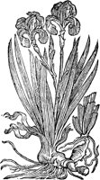 CGA50841.TIF