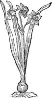 CGA50840.TIF