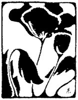 CGA50839.TIF