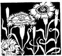 CGA50837.TIF