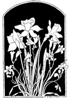 CGA50835.TIF