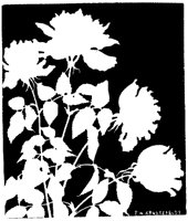 CGA50834.TIF