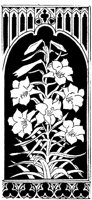 CGA50833.TIF