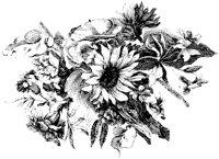 CGA50832.TIF