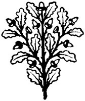 CGA50831.TIF