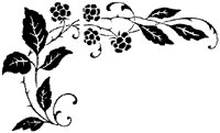 CGA50827.TIF