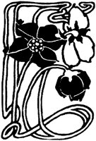 CGA50825.TIF