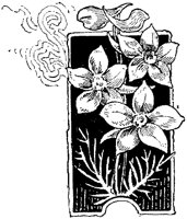 CGA50822.TIF