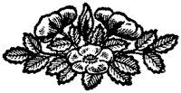 CGA50819.TIF
