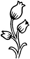 CGA50816.TIF