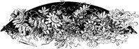 CGA50814.TIF