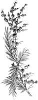 CGA50810.TIF