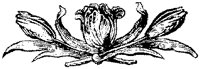CGA50809.TIF