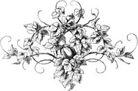 CGA50808.TIF