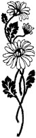 CGA50807.TIF
