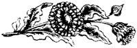 CGA50804.TIF
