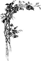 CGA50801.TIF