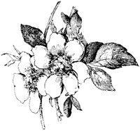CGA50798.TIF