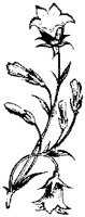 CGA50797.TIF