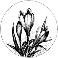 CGA50794.TIF
