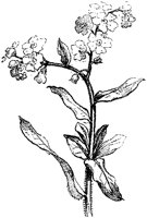 CGA50793.TIF