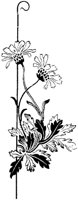CGA50791.TIF