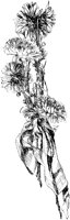 CGA50789.TIF