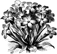 CGA50785.TIF