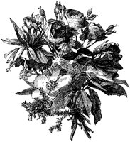 CGA50783.TIF