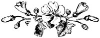 CGA50780.TIF