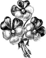 CGA50779.TIF
