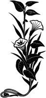 CGA50778.TIF