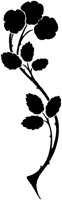 CGA50777.TIF