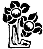 CGA50776.TIF