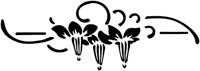 CGA50775.TIF