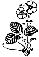 CGA50773.TIF