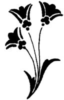 CGA50770.TIF