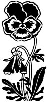 CGA50763.TIF