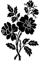 CGA50761.TIF