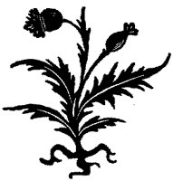CGA50759.TIF