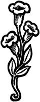 CGA50755.TIF
