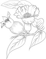 CGA50751.TIF