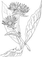 CGA50744.TIF