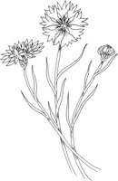 CGA50742.TIF