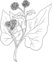 CGA50739.TIF