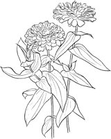 CGA50723.TIF