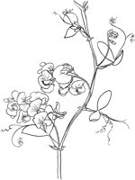 CGA50720.TIF