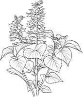 CGA50719.TIF