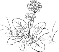 CGA50717.TIF