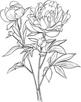CGA50713.TIF